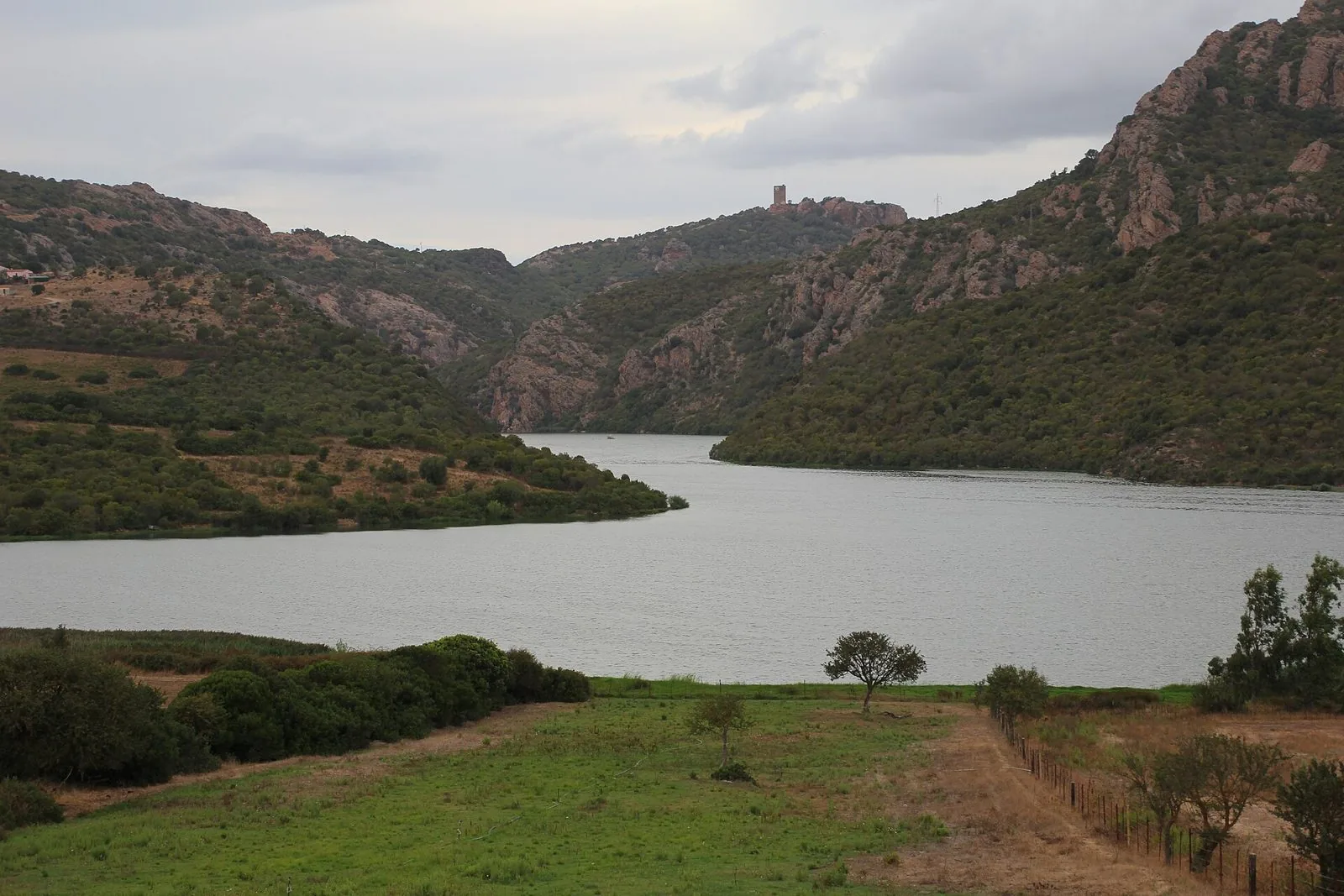 Il lago di Casteldoria fra colline di macchia mediterranea, con la torre dei Doria sulla cima di un colle roccioso sullo sfondo